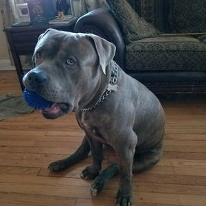 Meet your Posher, Verona